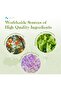 Essential Oils Set Starter Kit for Diffusers - 6 x 10 mL (Lavender, Eucalyptus, Lemongrass, - 4