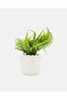 White Fern With Planter - 2