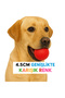 Dog Ball Bouncing Hard Ball Dog Toy 4.5cm (Non-Deforming Ball)