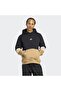 Archive Cutline Hooded Top - 3