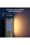 4-leaf Multifunctional Outdoor Strong Light for Camping (6000 LM) - 6