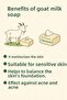 Natural Goat Milk Soap 110 Gr (1 Piece) - 4