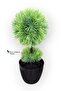 Black Cobalt Ida 25 cm Mini Top Boxwood - 3