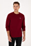 Men's Regular Fit Crew Neck Burgundy Slim Basic Sweatshirt 50313752-Vr014 - 3