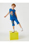 Licensed Shorts Cotton - 2