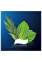 Toothpaste 75 ml Sensitivity Mint - 8