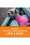 DOG (PINK XXS) - 3