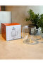 Double Wall Mug - 350 ml