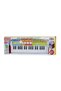 ORGA ELECTRONICA 37 TASTE - 4