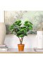 Phlox Philodendron Faux Plant 52 cm – Real Touch Artificial Greenery Premium Decor - 4