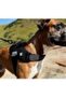 Gotham Flyharness (Size 2) - 6