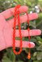 Marley Orange Barley Cut Special System Fire Amber Prayer Beads 201024763 - 3