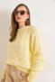 Women's Yellow Lace-Like Knit Soft Textured Knitwear Sweater Kzk-19001053 - 6