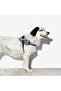 Urban FlyHarness (Size 1) - 2