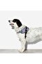 Urban Flyharness (Size 4) - 2