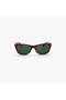 Rb 2132 New Wayfarer