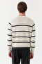 Men's Crew Neck Striped Knitwear - 3