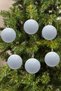 Christmas Pine Tree Ornament White 8 cm Figured Matte 6-Piece Cici Ball - 3