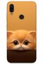 غطاء خلفي لهاتف Xiaomi Redmi Note 7 بنمط HD مطبوع - قطة صفراء