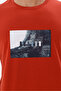 Rectangular Photo Printed Soft Textured Crew Neck Short Sleeve Relaxed Fit T-Shirt - 7