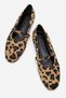 Women's Belted Ballerina Leopard - 5
