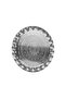 35 cm Steel Silver Color Serving Tray – Shiny and Stylish Presentation Tray