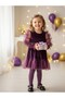 Purple Velvet Long Tulle Sleeved Girl's Baby Dress with Ruffled Sleeves and Hem