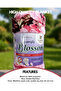 Super Soft Lightweight Blanket – Double Size | Blossom Luxury Flannel Blanket House - 2