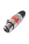 Cannon Plug Mother Red