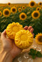 Herbal Glycerin Soap - Sunflower