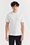 Men's Basic T-shirt - 3
