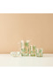 Palm Tree Embossed Highball Glass - 6