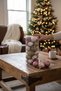 Hapyyland Christmas Pine Tree Ornament Rose Gold Luxury Christmas Ball Set 24 Pieces 5 cm Roseset Happy2025102 - 4