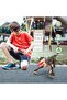 Remote Control Dinosaur for Kids,Jurassic World Toys,Kids' Electronics, Dinosaur Walking - 2