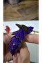 Articulated Dragon Keychain |   Shiny Horned & Sequined Fantastic Design - 3