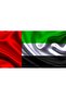 YU WELL UAE Flag for National Day Flag Day Celebration, 1 Piece, 60cm x 90cm