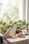 Samsung Galaxy A26 Compatible Case Floral Tulip Pattern Soft Silicone Cover - 2