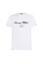 Tricou SCRIPT LOGO TEE Barbati - 3