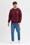 Crew Neck Embroidered Oversize Raster Basic Men's Sweatshirt - 2
