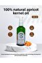Apricot Kernel Oil – 100% Pure, Cold Pressed and Skin-Friendly Natural Oil