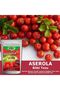 Aserola Plant Powder 100 g - 4