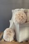 Honey Foam Pompom Accessory Mosquito Net