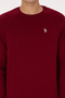 Men's Regular Fit Crew Neck Burgundy Slim Basic Sweatshirt 50313752-Vr014 - 6