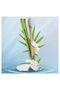 Toothbrush Bamboo - 4
