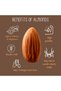 Almond Salted Caramel Bars – Gluten-Free, Non-GMO, Vegetarian Snack | 15 x 40g - 6