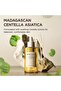 Madagascar Centella Asiatica Ampoule Facial Serum 3.38 fl.oz (100ml) - 3