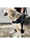 Zee.Dog Gotham Flyharness (Size 3) - 5