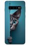 Samsung Galaxy S10 Plus Case Hd Pattern Printed Back Cover - Blue-Eyed Cat