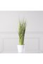 Buchet artificial Stipa 60 cm verde - 2