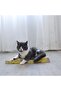 Cat Scratcher Cardboard Wave Design (2 Pack A) - 5